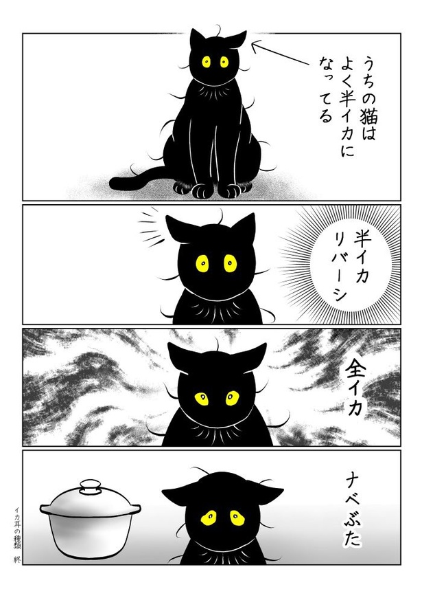 うちの猫は様子がおかしい43