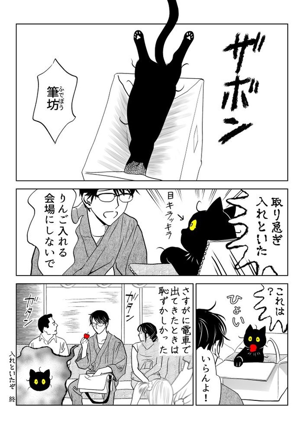 うちの猫は様子がおかしい50