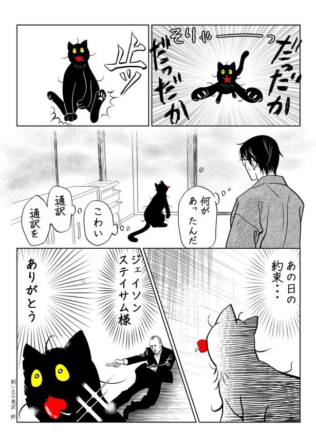 うちの猫は様子がおかしい51