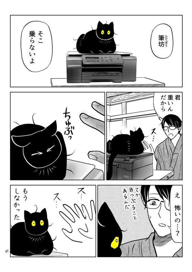 うちの猫は様子がおかしい52