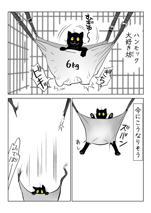 うちの猫は様子がおかしい54