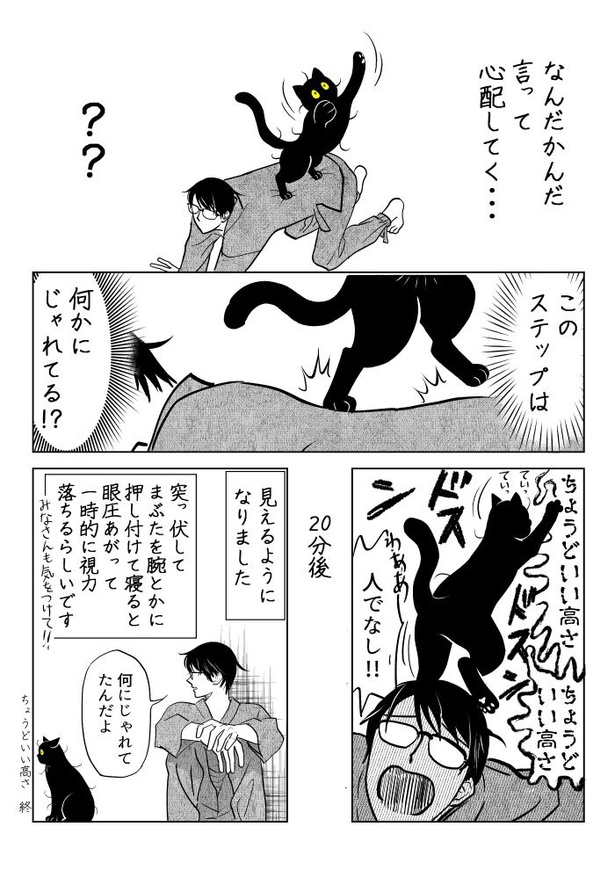 うちの猫は様子がおかしい58