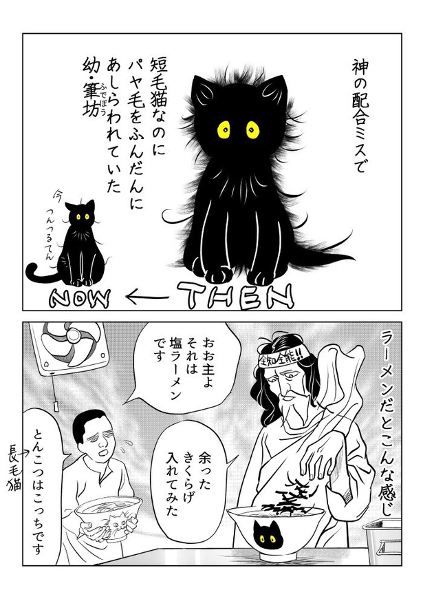 うちの猫は様子がおかしい59