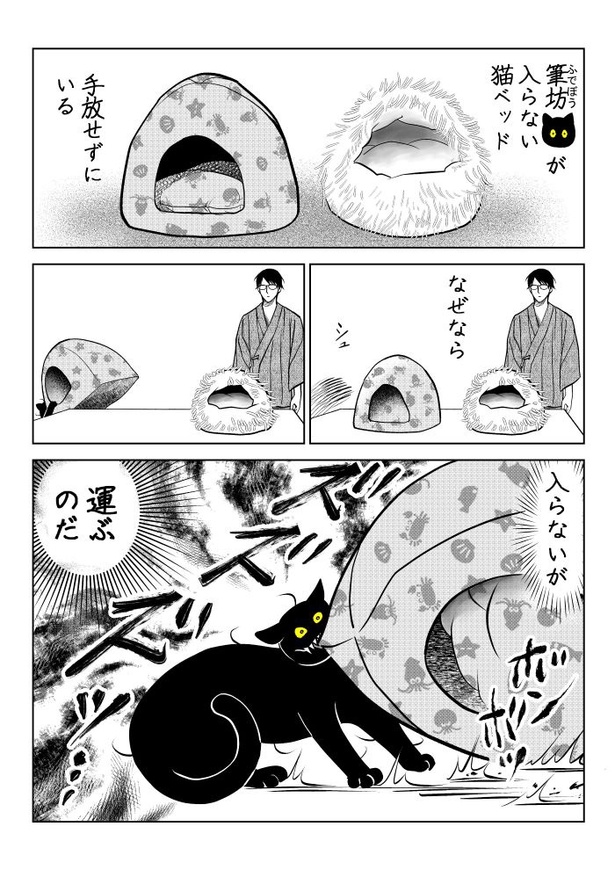 うちの猫は様子がおかしい62