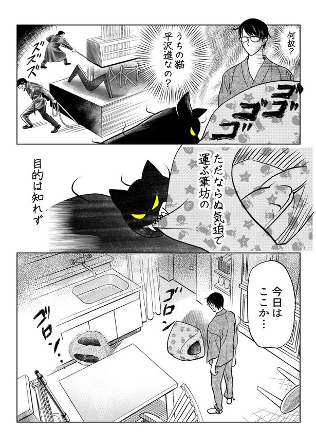 うちの猫は様子がおかしい63