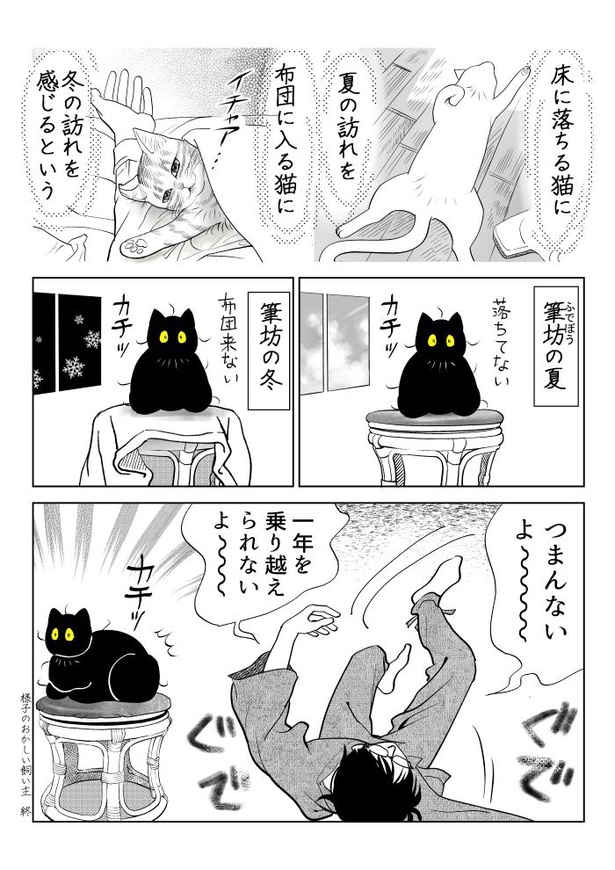 うちの猫は様子がおかしい67