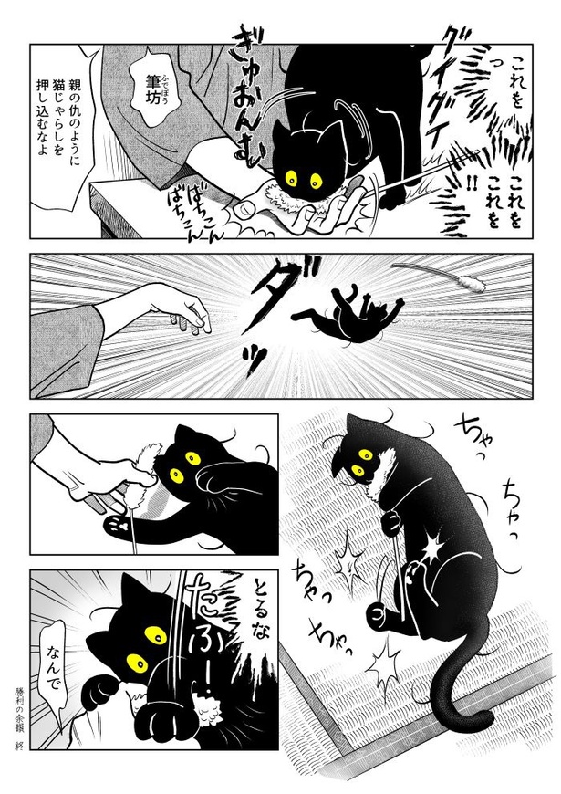 うちの猫は様子がおかしい77