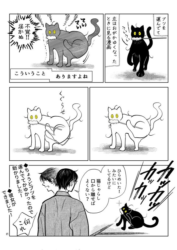 うちの猫は様子がおかしい79