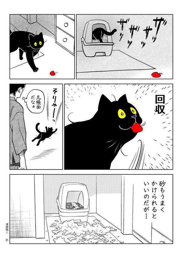 うちの猫は様子がおかしい81