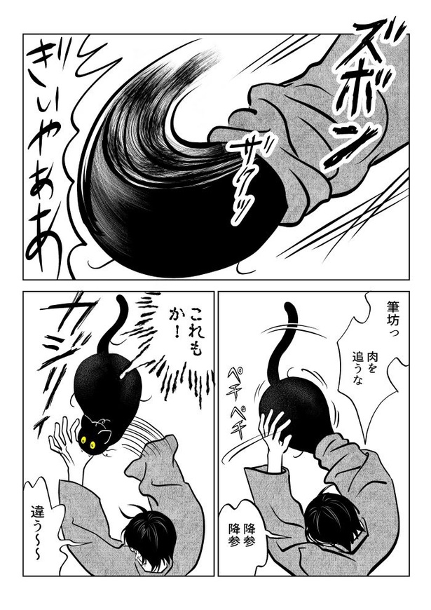 うちの猫は様子がおかしい95