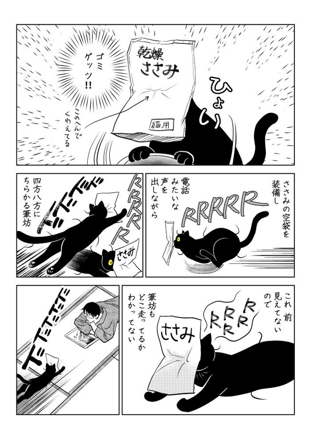 うちの猫は様子がおかしい98