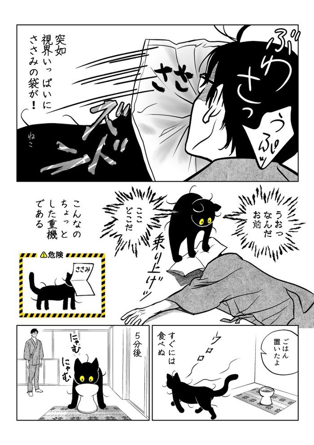 うちの猫は様子がおかしい99