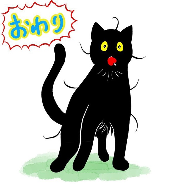うちの猫は様子がおかしい