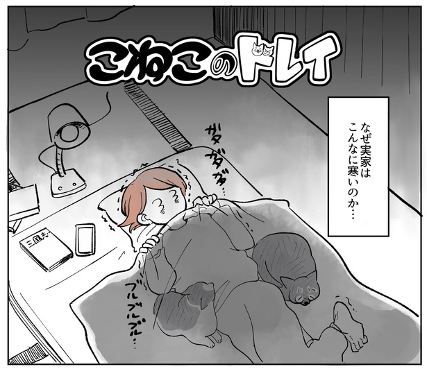 『こねこのドレイ4』1/17