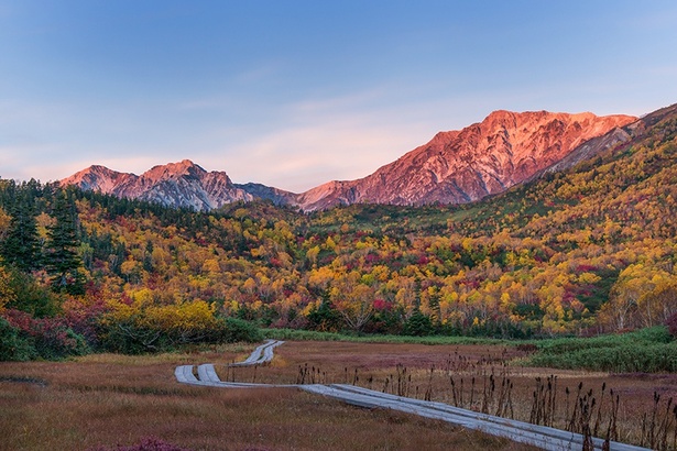 見事な紅葉景色が見られる「栂池自然園」