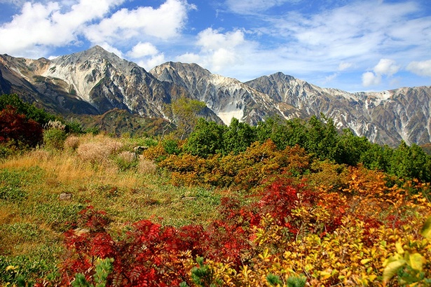 八方尾根は位置的にも白馬三山に最も近く、素晴らしい紅葉が堪能できる