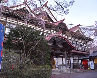日本三大桜名所の城址公園で天下第一の桜を満喫！