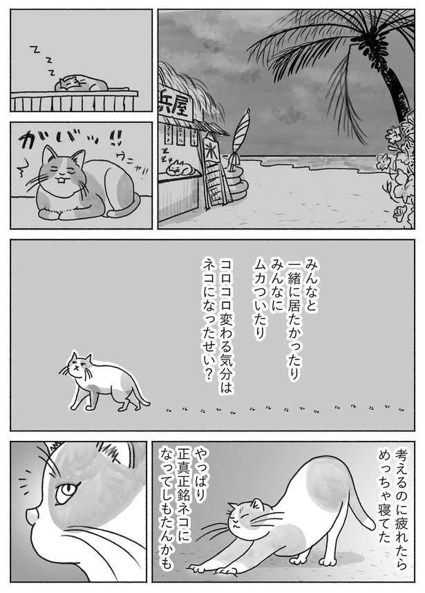 熱が出て修学旅行に行けなくなった話14