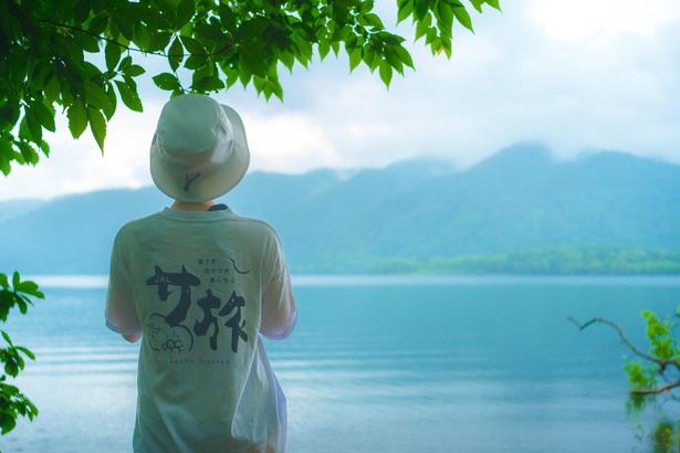 自然に囲まれたサ旅の魅力を体感できる