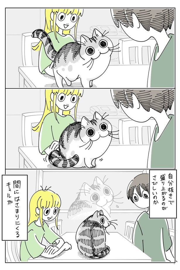 「包囲されるネコ」02
