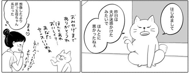 27