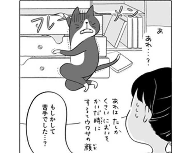 自宅に帰ったら「泥棒猫」と遭遇した少女!?予想外すぎる展開に続きが気になる【著者インタビュー】