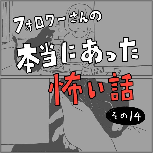 【漫画】黒猫が会いにきた理由とは？