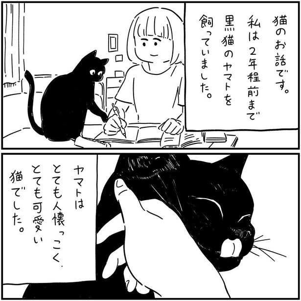 猫のヤマト(2)