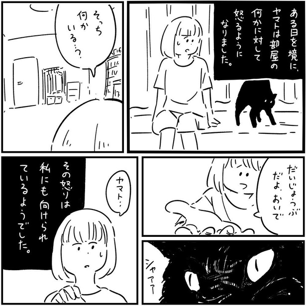 猫のヤマト(6)