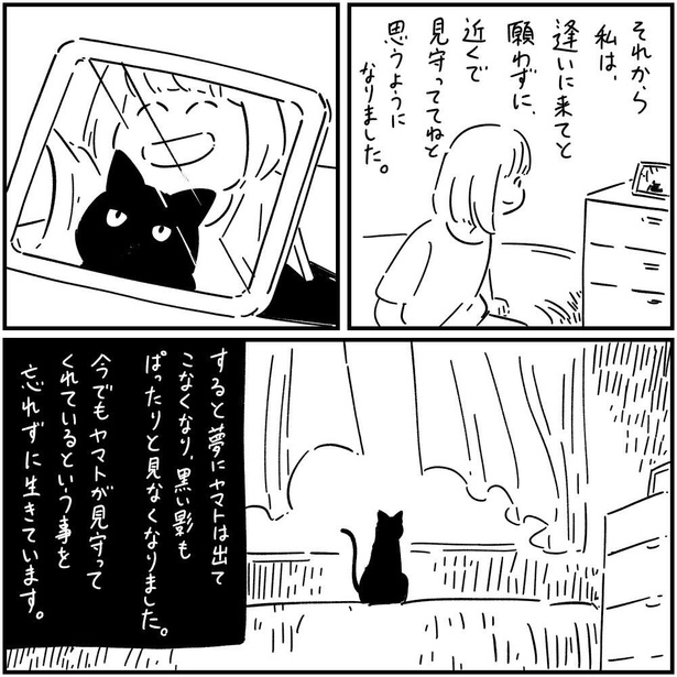 猫のヤマト(10)