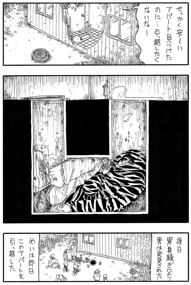 「このアパートの」D