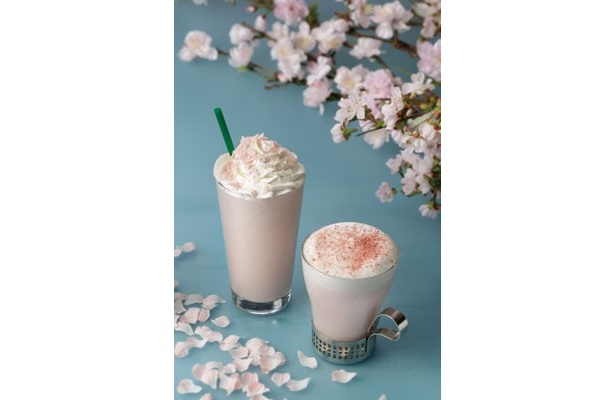 「スターバックス」の春の恒例！“SAKURA”シリーズが梅田ロフトでサンプリング開催♪