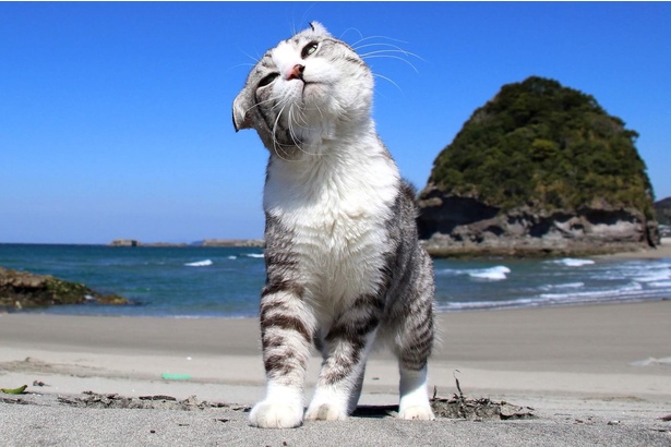 鹿児島県・西方町の海岸