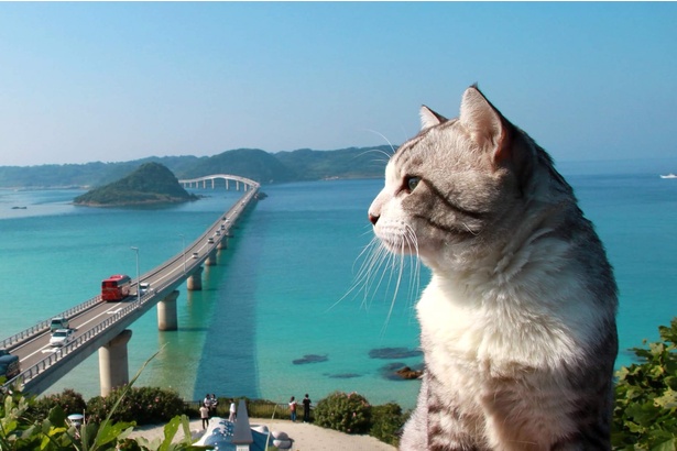 山口県・角島大橋の絶景
