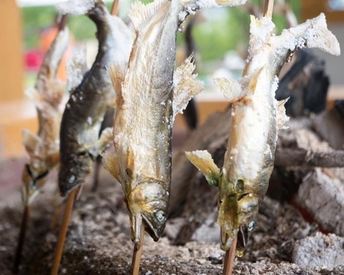 鮎の友釣りやつかみ取りを体験、塩焼きで味わう！「清流長良川あゆパーク」で子どもと一緒に岐阜の自然に触れる旅へ