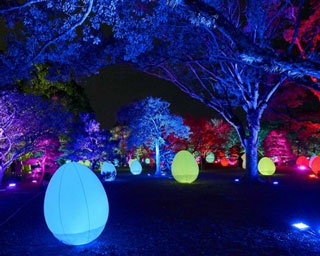 福岡城が幻想的なアート空間に変身！「福岡城 チームラボ 城跡の光の祭」が開催中