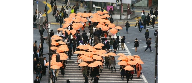 渋谷に謎のオレンジ傘集団！　その正体はなんと“エコ”なプロモーション