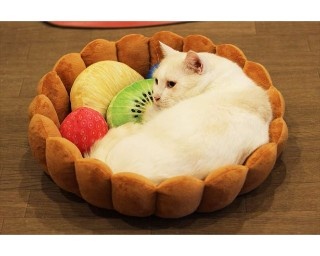 フルーツタルトの具になって寝るだけでかわいい猫用クッションが新登場！