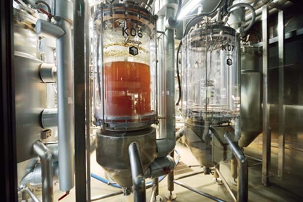 併設の醸造所には発酵タンクがズラリ/SPRING VALLEY BREWERY KYOTO