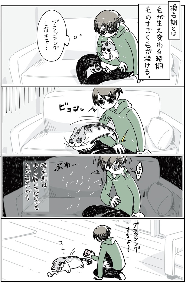 ブラッシングしなきゃ…