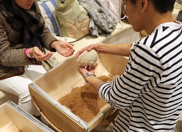 触れ合い方はスタッフが教えてくれる