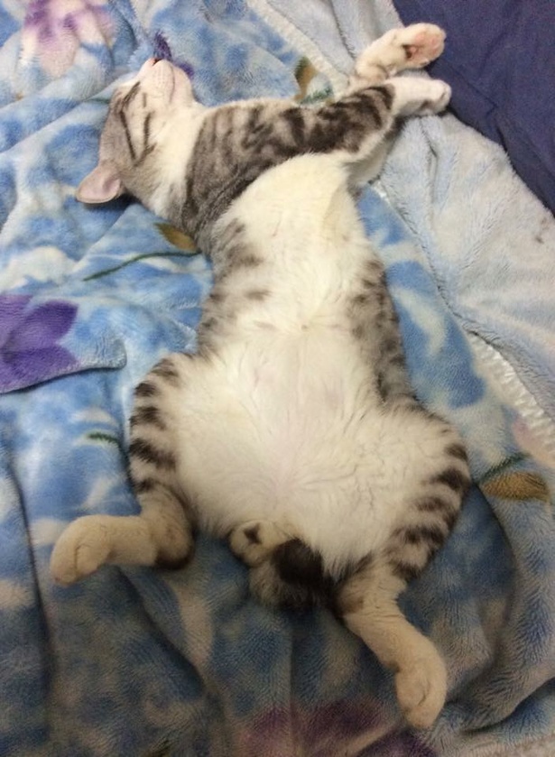 家だと安心してこんな姿に…