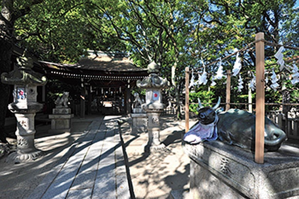 初詣 三が日限定で殿内参拝も 楠公さん こと 湊川神社 参拝コースをチェック ウォーカープラス