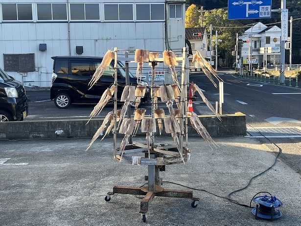 呼子と言えばイカ!