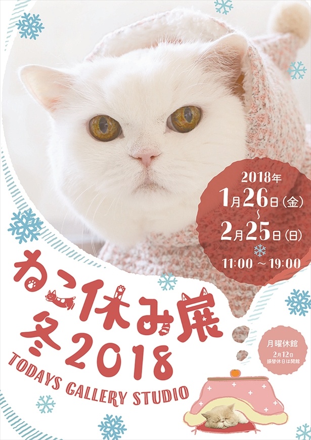 【写真を見る】大人気シリーズ「ねこ休み展」の2018年第1弾！