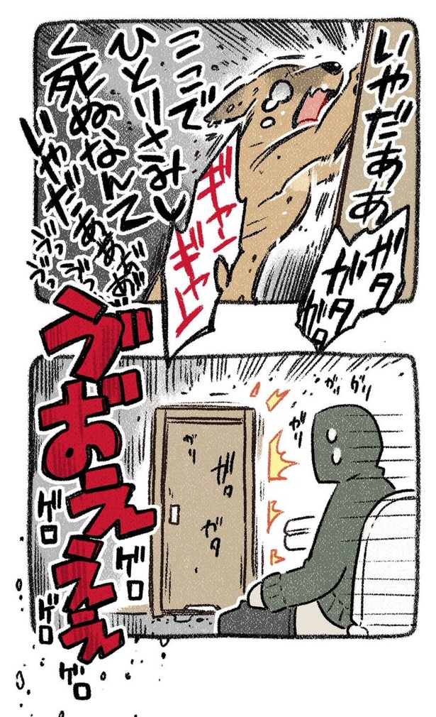 保護犬茶々のお話【第11話】(4) 