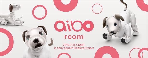 2018年1月11日(木)から3月中旬までの開催を予定している