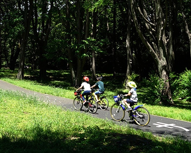 明治神宮外苑〜国立競技場〜ワタリウム美術館〜表参道ヒルズ〜東急プラザ表参道「オモカド」〜明治神宮〜代々木公園〜SHIBUYA SKYをめぐる新宿・渋谷の自然と街の散策コース