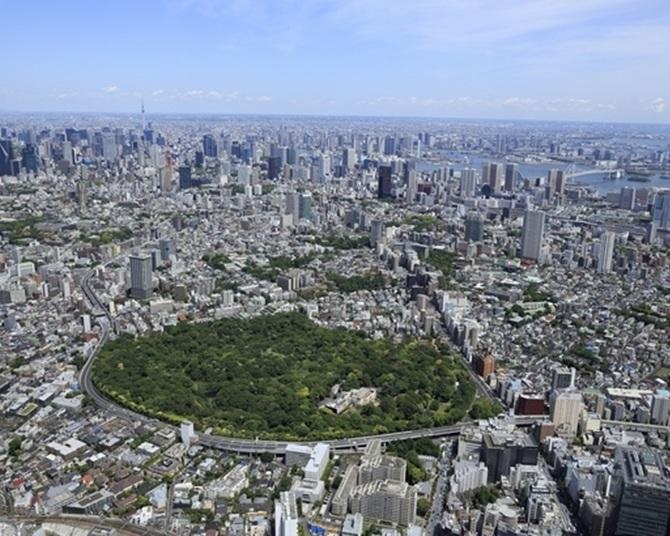 目黒の森で出合う、都市のオアシス──国立科学博物館附属自然教育園で都心の暮らしに“深呼吸”を。