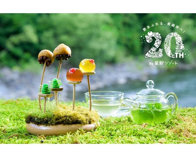 【星野リゾート】新・春の風物詩！苔の花を楽しむ「春のお花見」ならぬ“春のお苔見”が奥入瀬渓流ホテルで開催